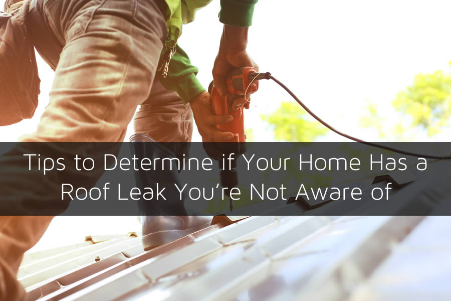 Tips to Determine if Your Home Has a Roof Leak You're Not Aware of