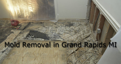 Mold Removal in Grand Rapids MI