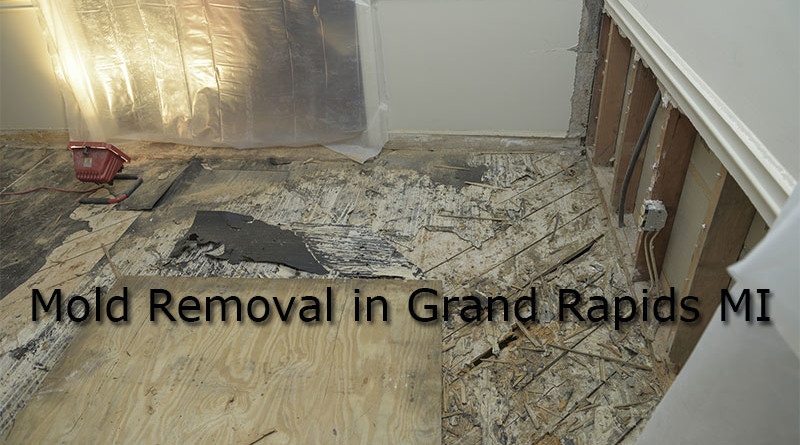 Mold Removal in Grand Rapids MI