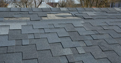 Roof Repair in Grand Rapids MI