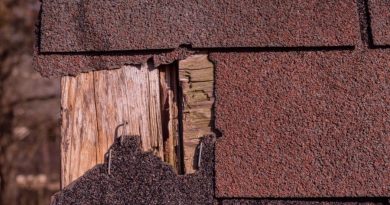 Get the Best Shingle Roof Repair in Grand Rapids Michigan After a Storm