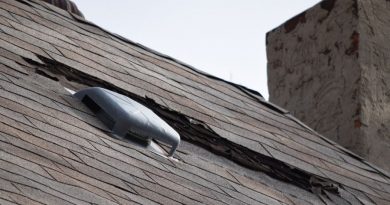Factors That Can Damage Your Roofing in Grand Rapids Michigan