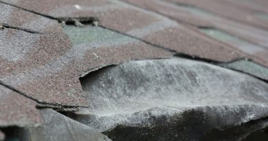 Look Out for These Common Problems with Your Roofing in Grand Rapids Michigan