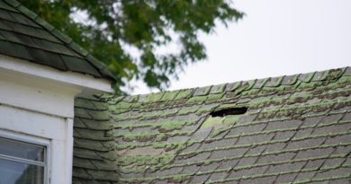Need a Roof Replacement in Grand Rapids Michigan? Don't Miss These Warning Signs