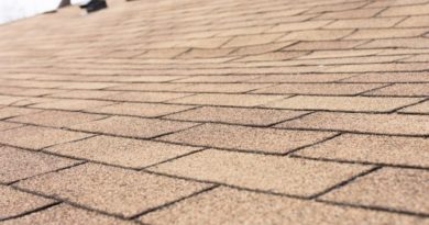 When Should I Replace My Roof in Grand Rapids Michigan?