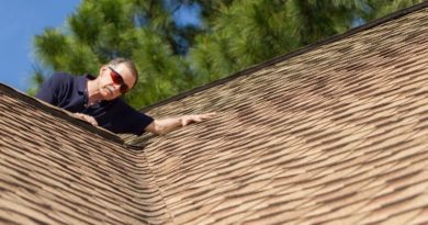 Advantages of Having an Asphalt Shingle Roof in Grand Rapids Michigan