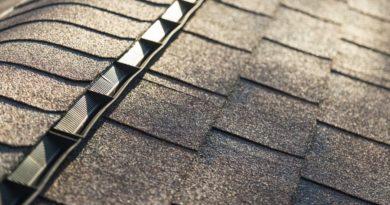Common Roof Problems and the Cost of Roof Repairs in Grand Rapids Michigan